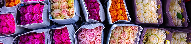 Cloth rectangular bags of different colored flowers